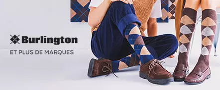 Burlington, Falke