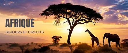 Afrique, séjours et circuits