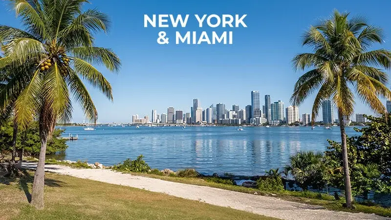 New York & Miami