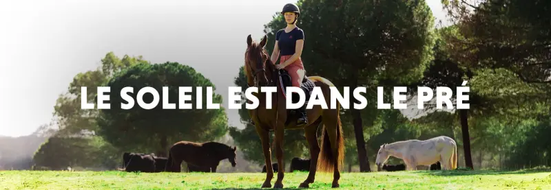 Le Soleil est dans le pré