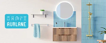Cabines de douche et meubles de salle de bain dans l'ère du temps