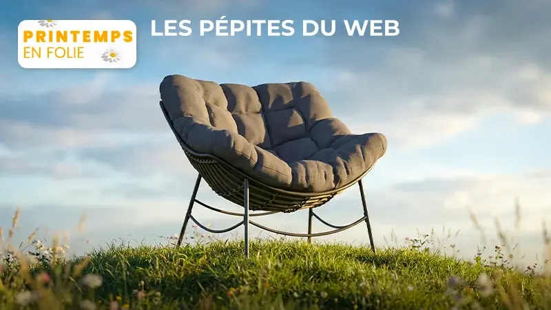 Les Pépites Du Web