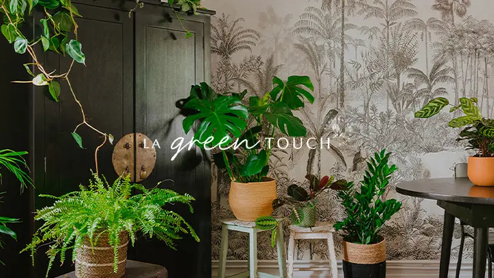 La Green Touch