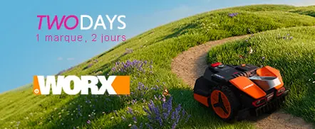 Worx