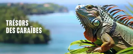 Trésor des Caraïbes