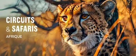 Circuits & Safaris en Afrique