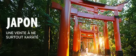 Japon - Une vente à ne surtout karaté