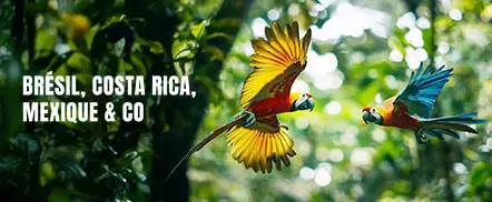 Brésil, Costa Rica, Mexique & Co