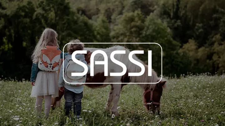 Sassi