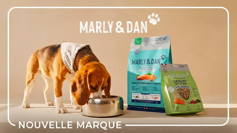 Marly & dan