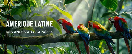 Amérique latine : des andes aux Caraïbes