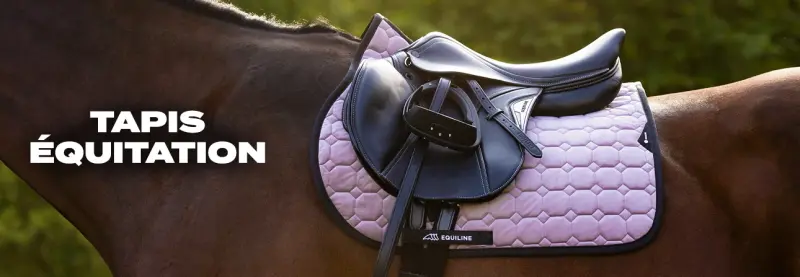 Tapis équitation