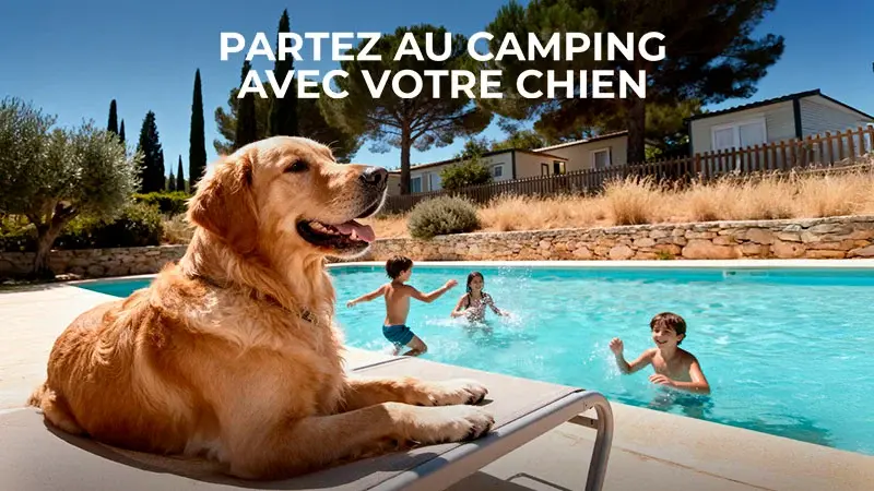 Partez au camping avec votre chien