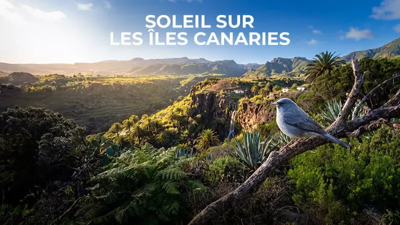 Soleil sur les îles Canaries