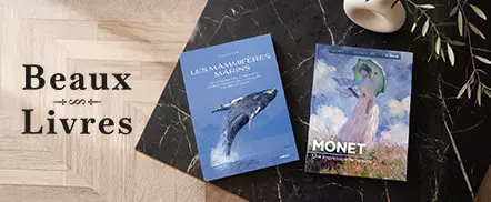 Vinyles et beaux livres