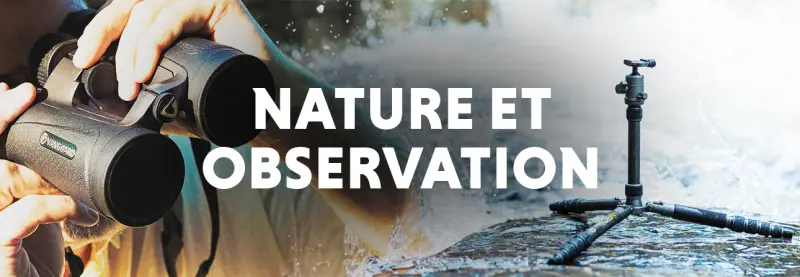 Nature et observation