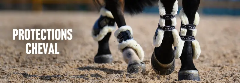 Protection du cheval