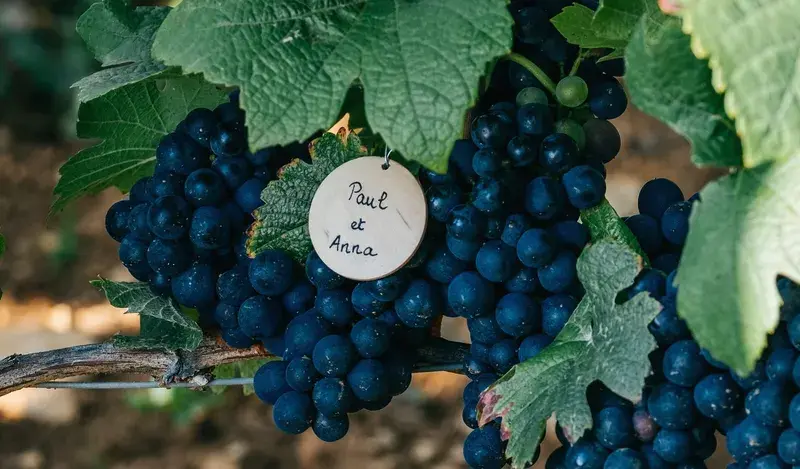 Cuvée Privée