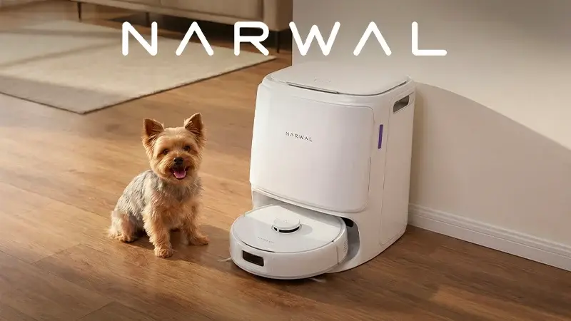 Narwal