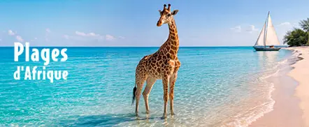 Plages d'Afrique