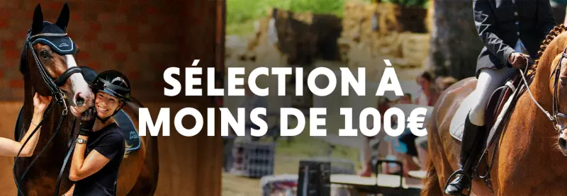 Sélection moins de 100 euros