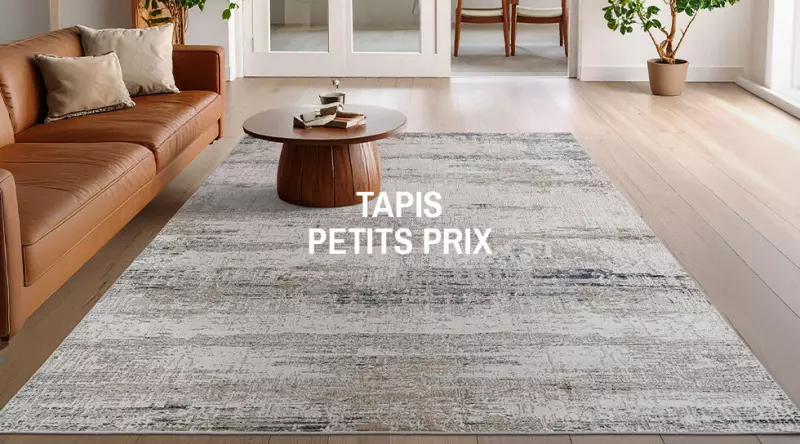 Tapis petits prix