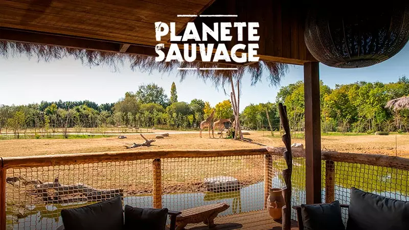 Planète Sauvage
