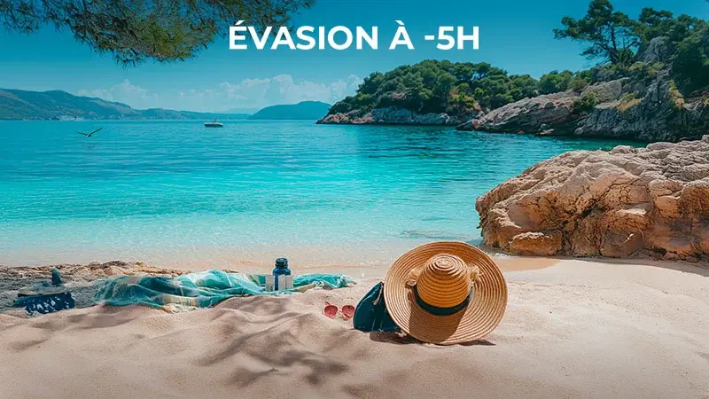 Evasion -5h