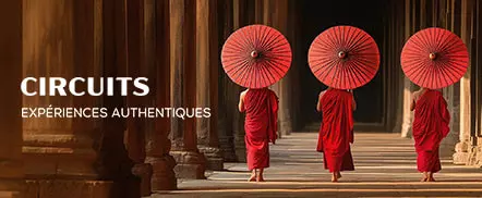 Circuits : expériences authentiques
