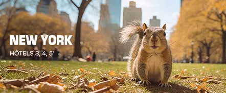 New York | Hôtels 3, 4, 5*