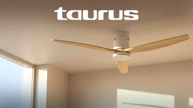 Taurus