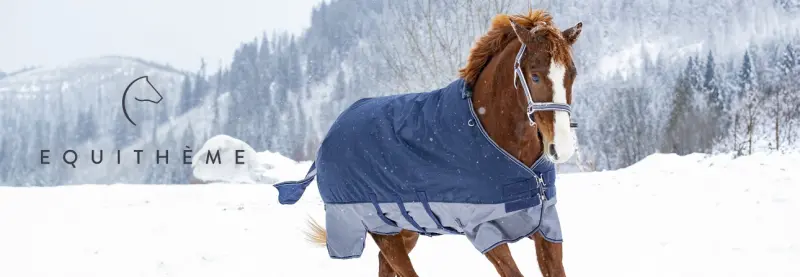 Equithème