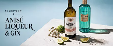 Sélection anisé, liqueur et gin