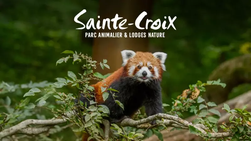 Parc Animalier de Sainte Croix
