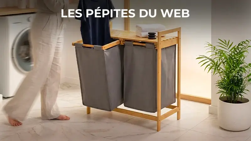 Les Pépites Du Web