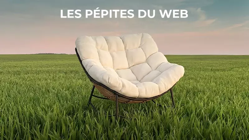 Les Pépites Du Web