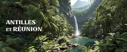 Antilles et Réunion