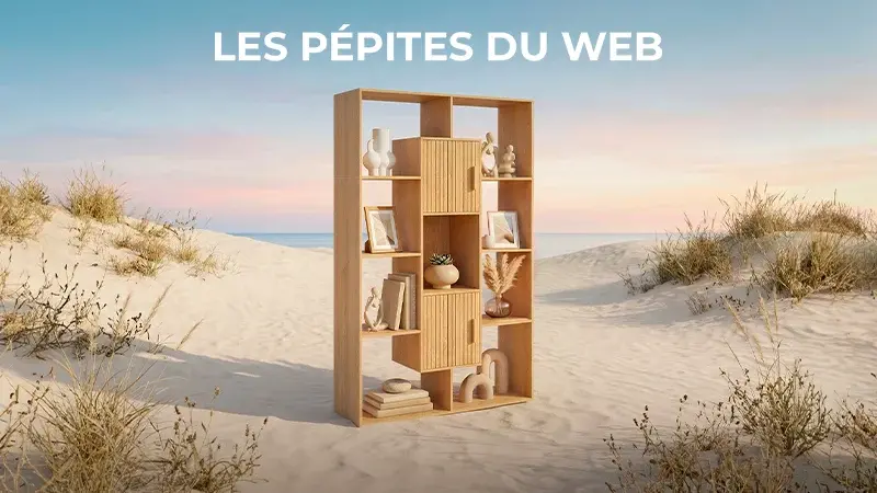 Les Pépites Du Web