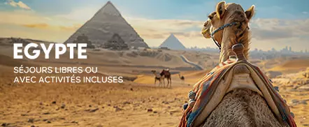 L'Egypte avec ou sans activités