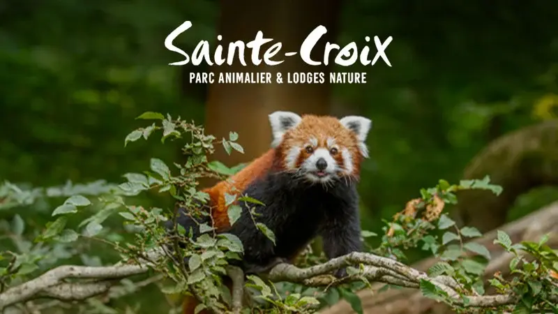 Parc Animalier de Sainte Croix