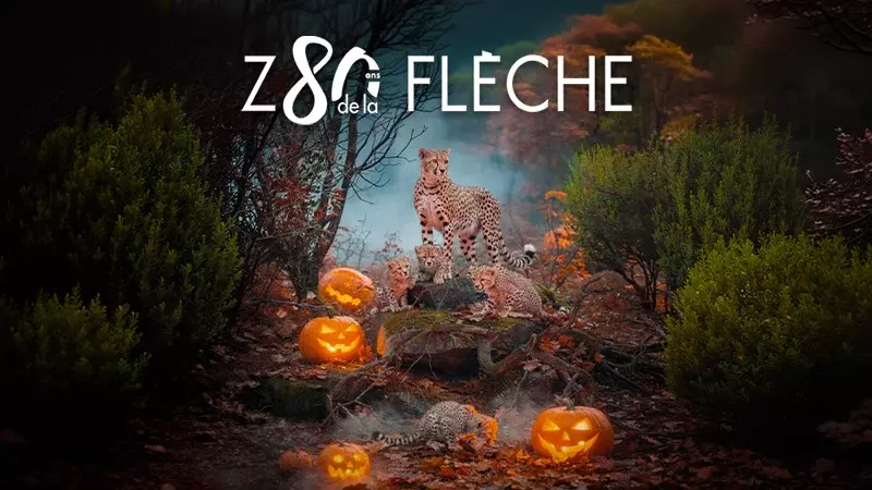 Zoo de la Flèche