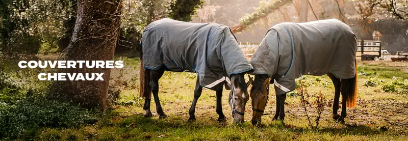 Couvertures Chevaux