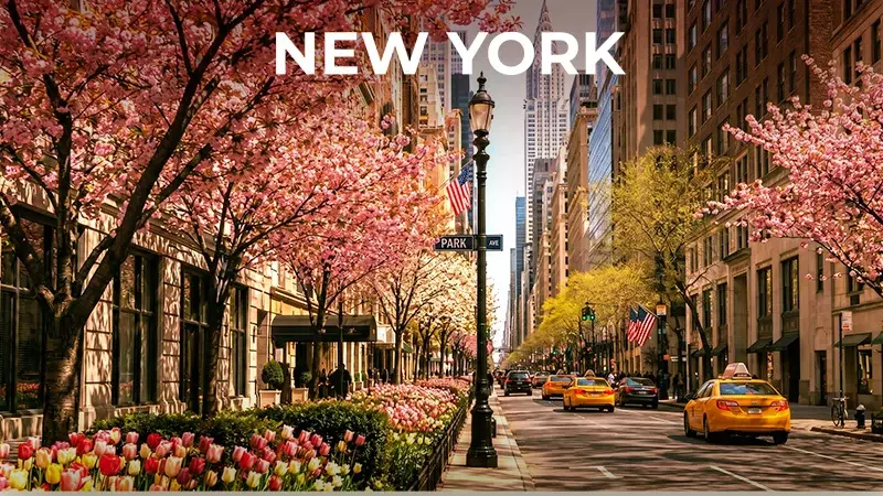 New York