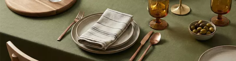 Dîner entre amis