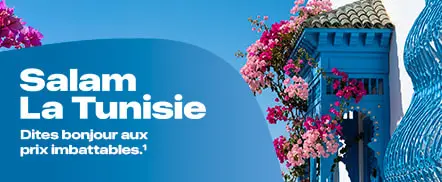 Offre du moment : Tunisie