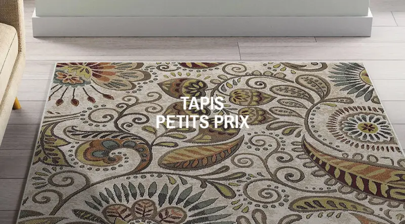 Tapis petits prix