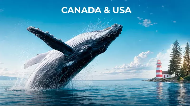 Canada & USA