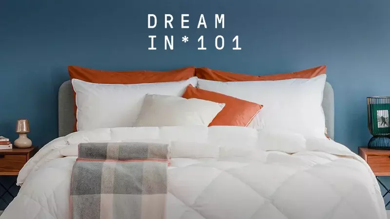Dreamin* 101