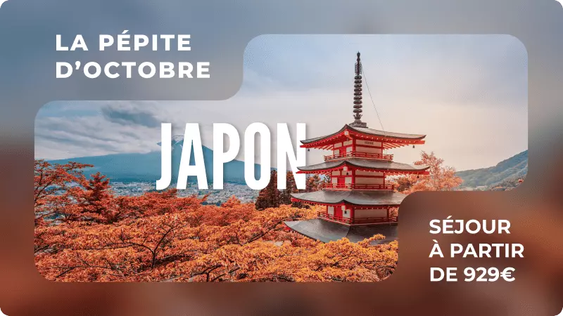 La pépite du mois : Le Japon