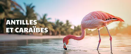 Antilles & Caraïbes